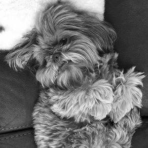 Meet your Posher, Natalia